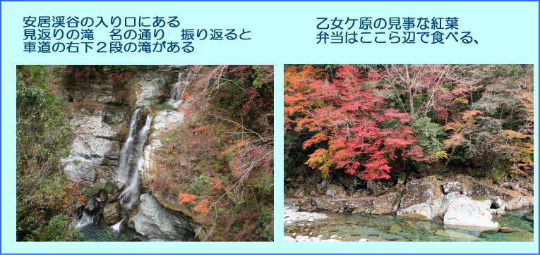 Ԃ̑